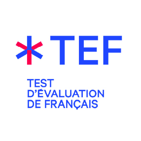 FORMATION COURS DE PRÉPARATION AU TEF – 14H